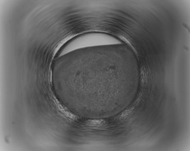 X0000100351125200806201535