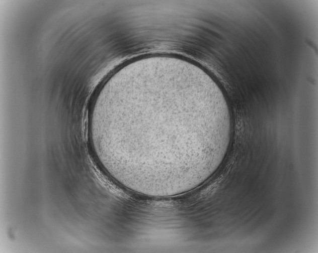 X0000100351126200806201535