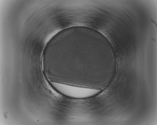 X0000100351127200806201535