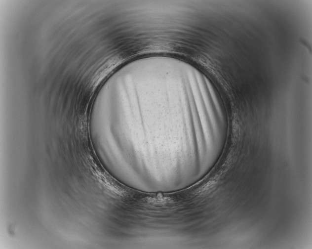 X0000100351129200806201535