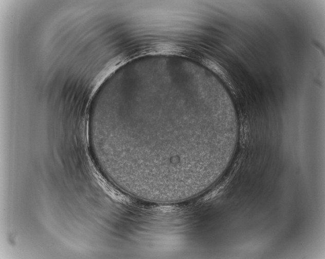 X0000100351130200806201535