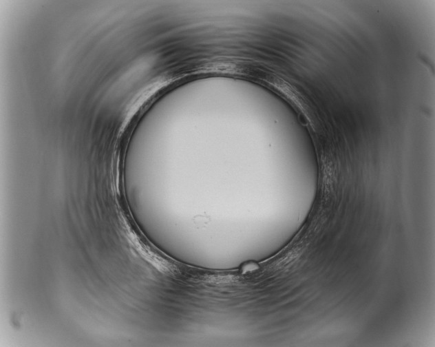 X0000100351131200806201535