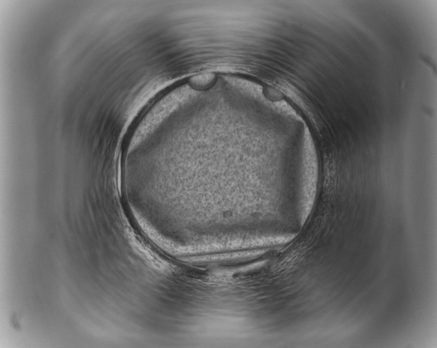 X0000100351132200806201535