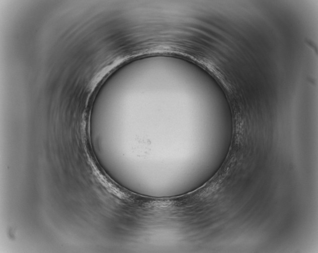 X0000100351134200806201535