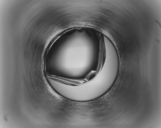 X0000100351136200806201535