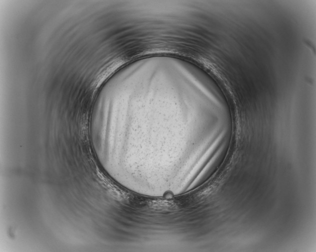 X0000100351137200806201535