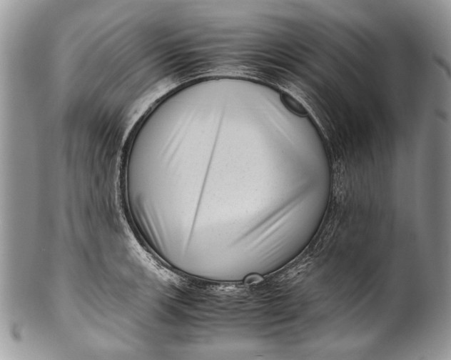 X0000100351139200806201535