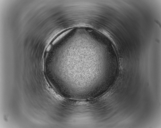 X0000100351140200806201535