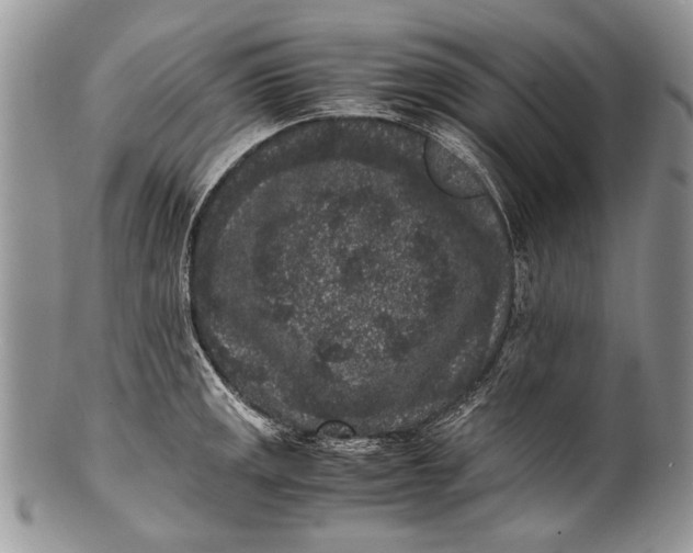 X0000100351141200806201535