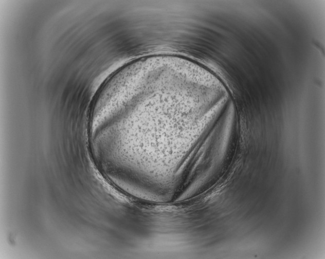 X0000100351142200806201535