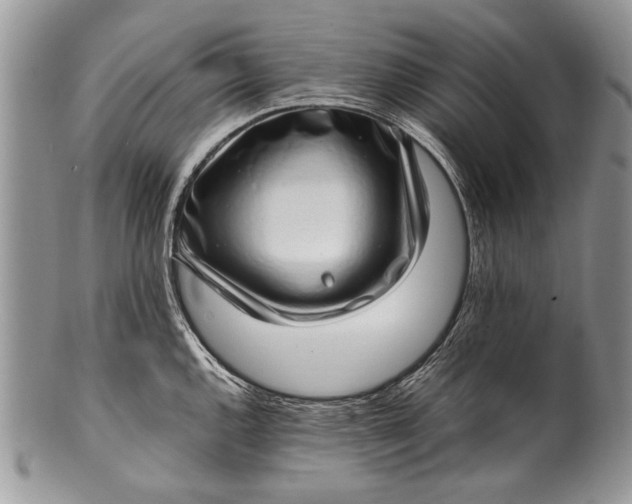 X0000100351144200806201535