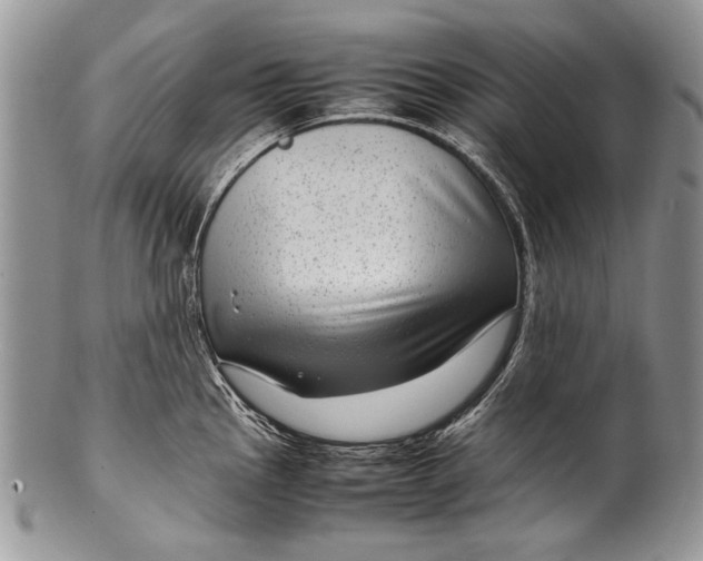 X0000100351145200806201535