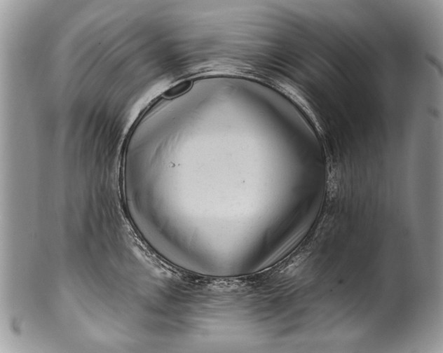 X0000100351146200806201535