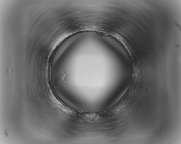 X0000100351147200806201535