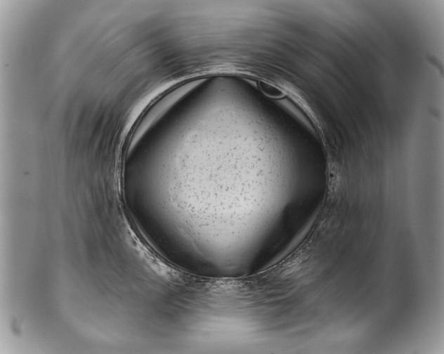 X0000100351148200806201535