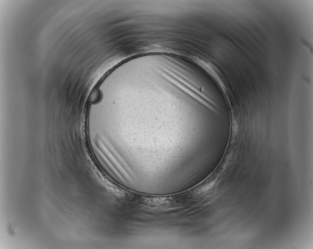X0000100351149200806201535