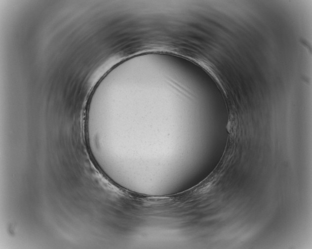 X0000100351151200806201535