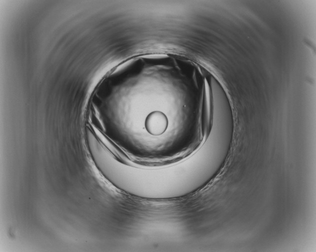X0000100351152200806201535