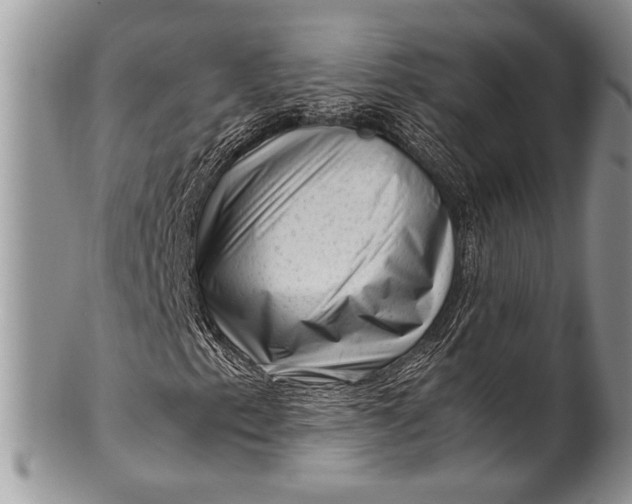 X0000100351153200806201534