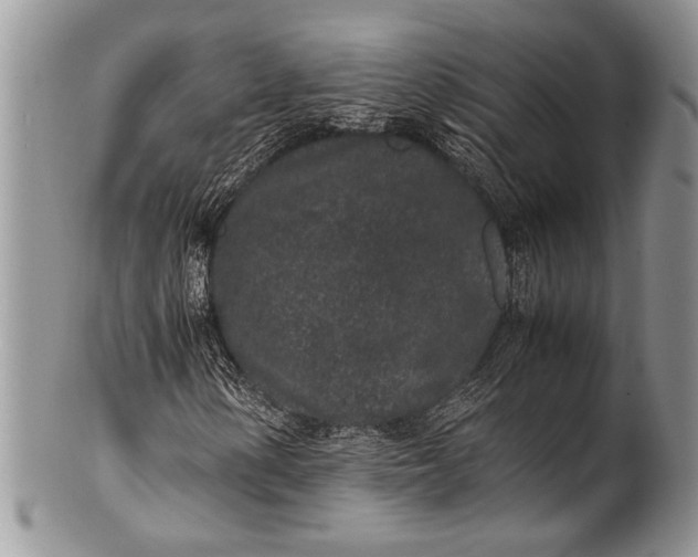 X0000100351154200806201534