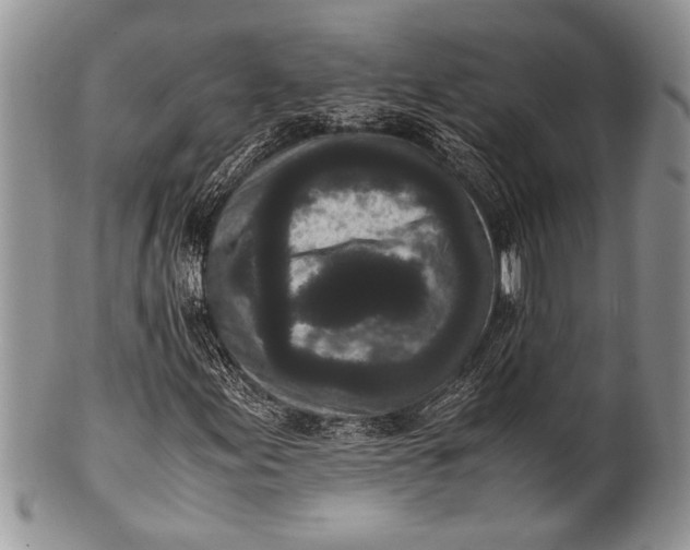 X0000100351155200806201534