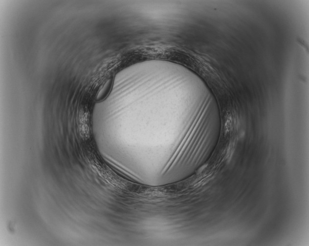 X0000100351156200806201534