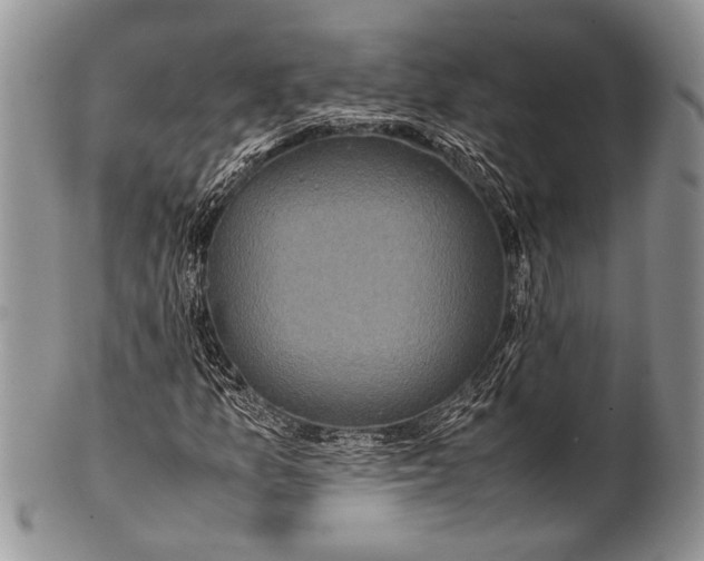 X0000100351157200806201534