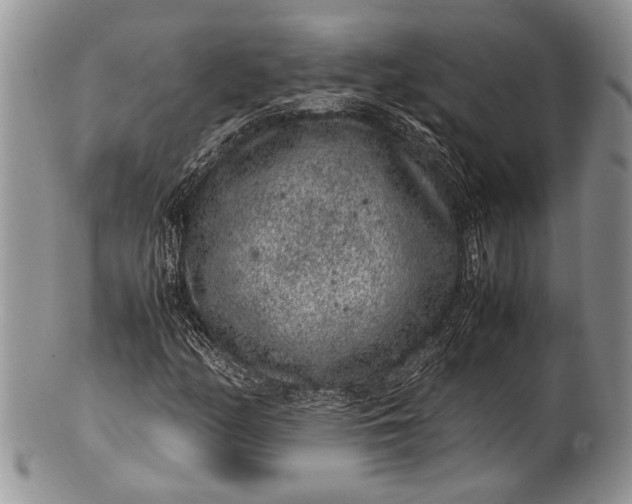 X0000100351158200806201534