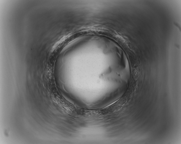 X0000100351159200806201534