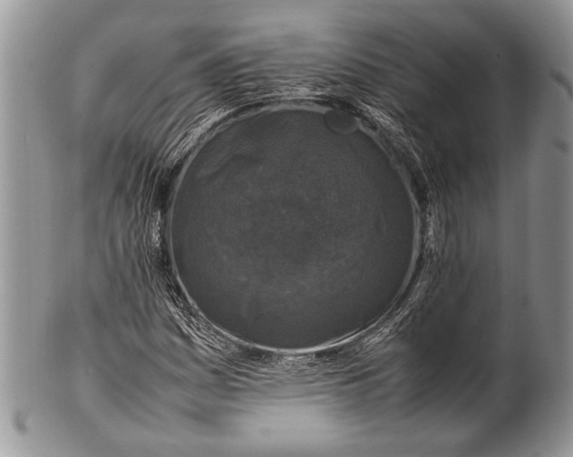 X0000100351161200806201534