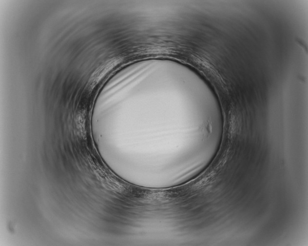 X0000100351162200806201534