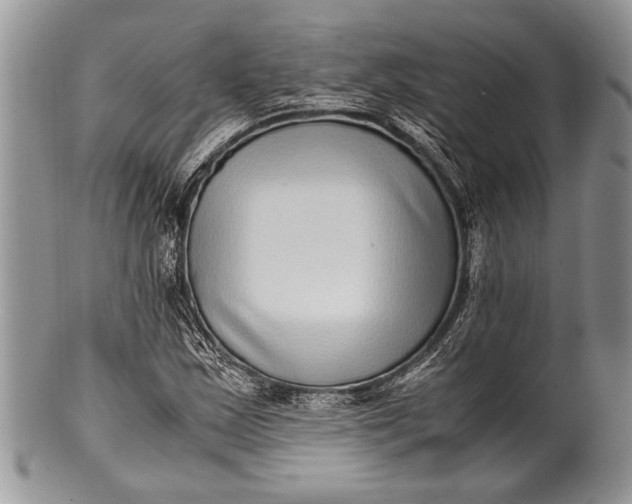 X0000100351163200806201534