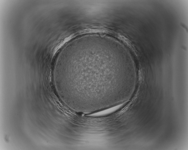 X0000100351165200806201534