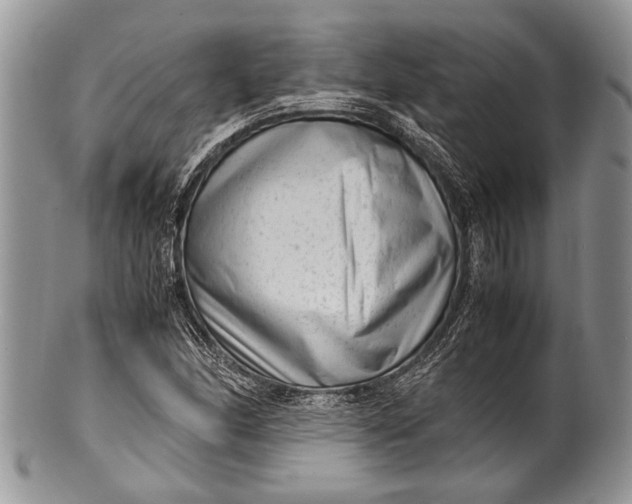 X0000100351166200806201534