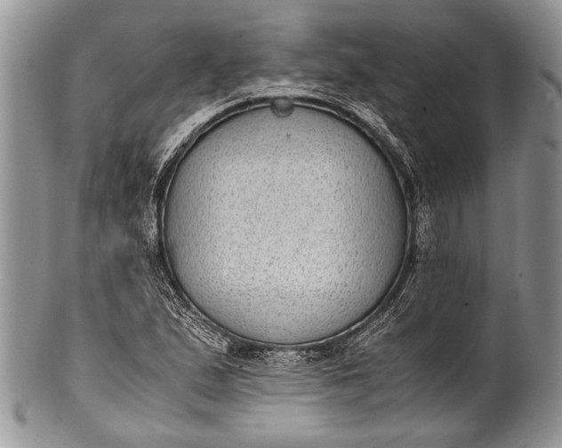 X0000100351167200806201534