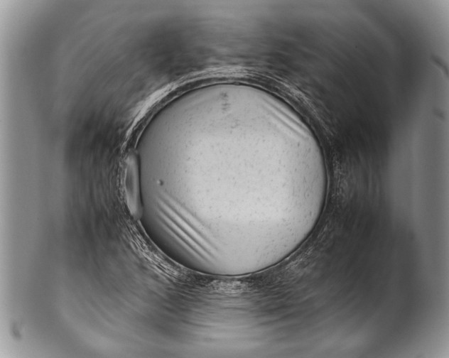 X0000100351168200806201534