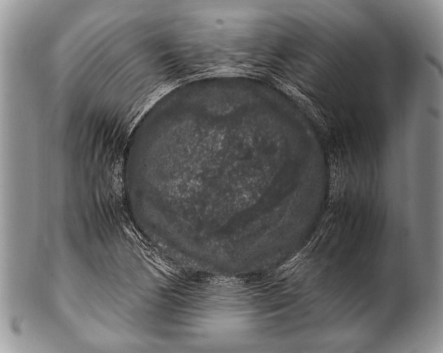 X0000100351170200806201534