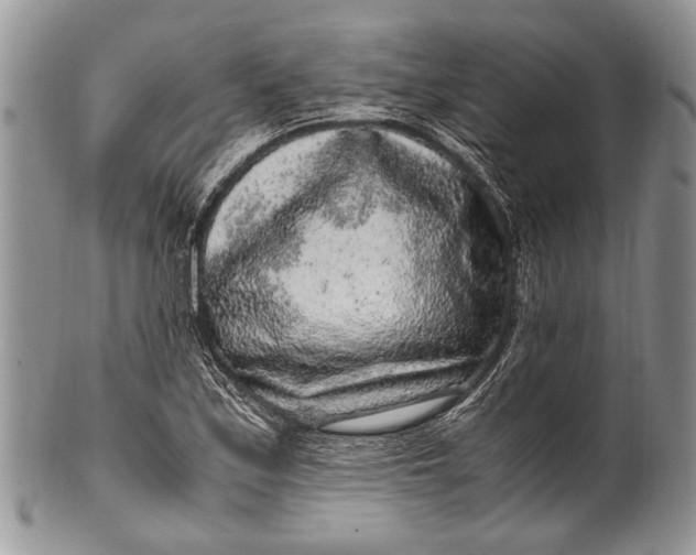 X0000100351171200806201534