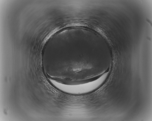 X0000100351173200806201534