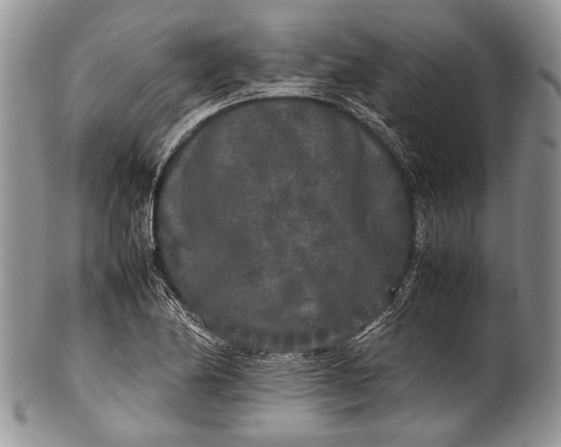 X0000100351174200806201534