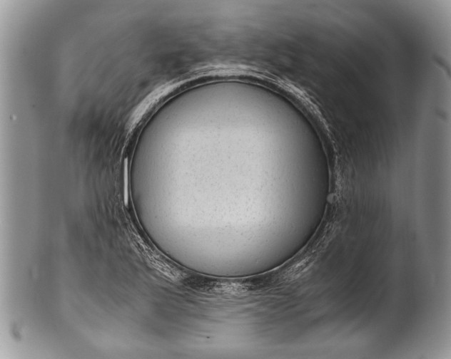 X0000100351175200806201534