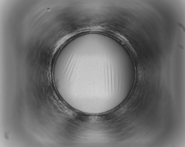 X0000100351176200806201534