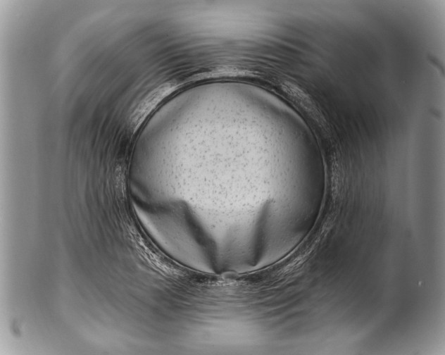 X0000100351177200806201534