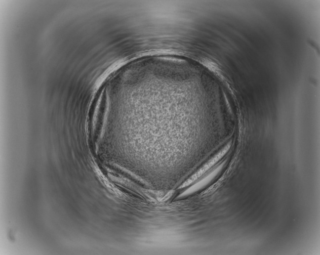 X0000100351181200806201534