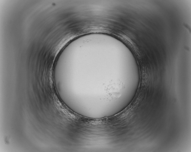X0000100351182200806201534