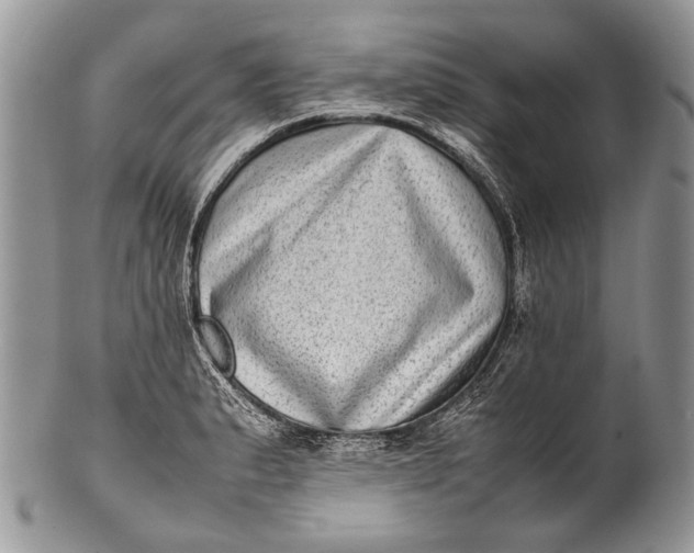 X0000100351183200806201534
