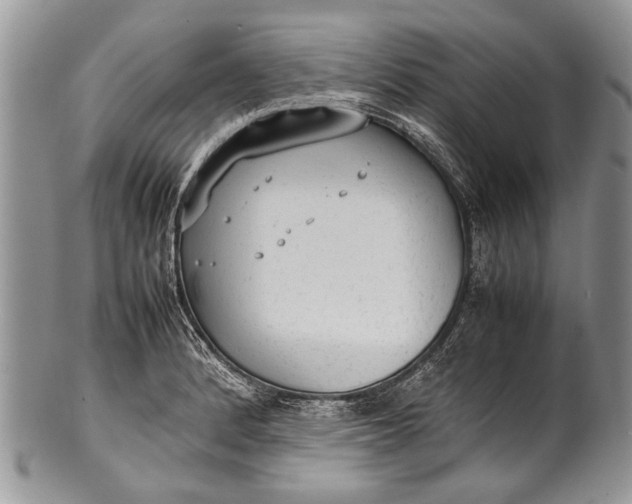 X0000100351184200806201534