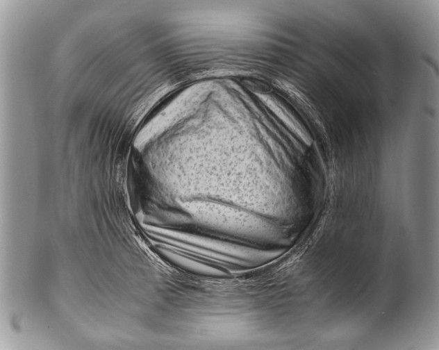 X0000100351185200806201534