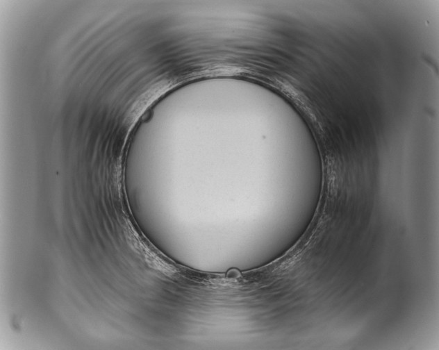 X0000100351186200806201534