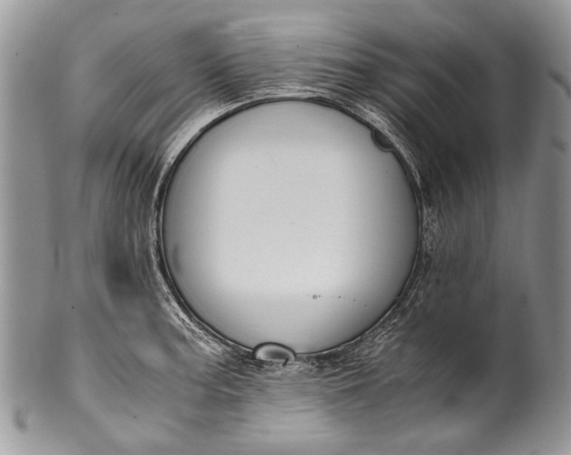 X0000100351187200806201534